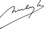 sign digital