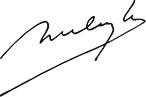 sign digital